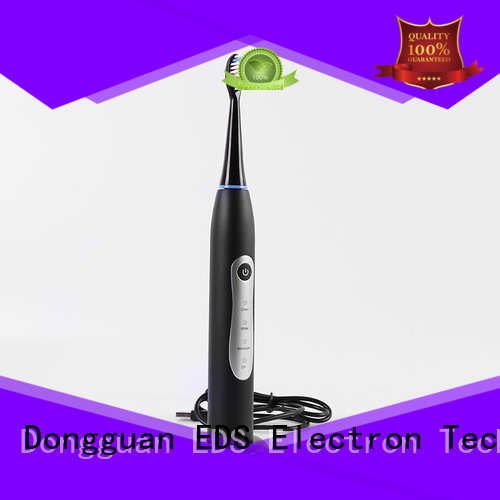 portable wireless electric toothbrush rechargeable for wholesale